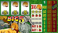Big 5 Slot von Microgaming